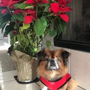 Meet your Posher, Thu